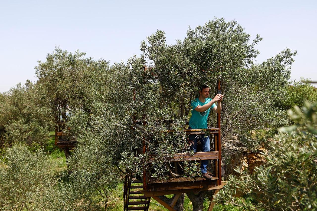 לינה וארוחת בוקר קפריקה Ola Belem! Cozy Windmill, Stunning Views To Lisboa מראה חיצוני תמונה